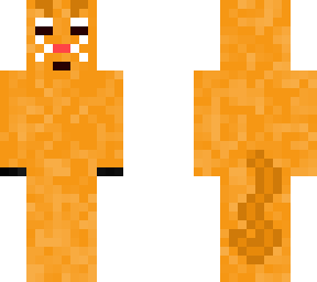 nervous kitty cat