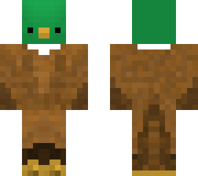 wild duck