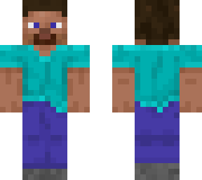 steve 2,0