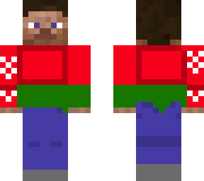 steve belarus flag