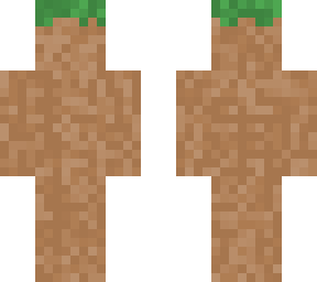 dirt (camo) skin