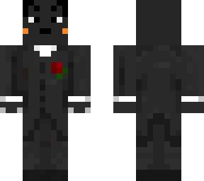 cat in tux