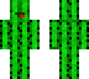 cactus skeppy