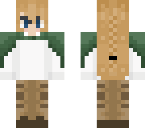 skin