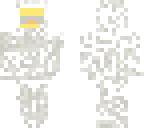 white/gray duck