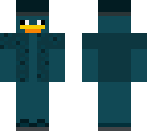 beach duck
