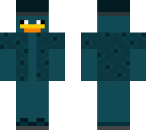 beach duck