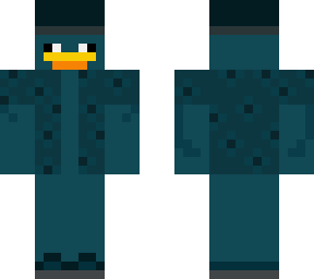 beach duck