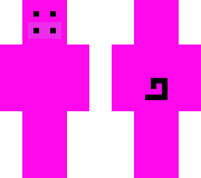 pig