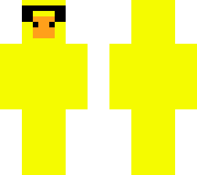 summer duck