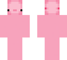 axolotl skin (base by stewz) but i changed something