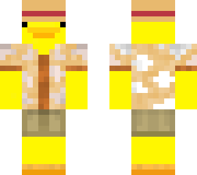 duck on the beach