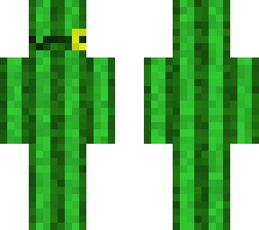 fancy cactus