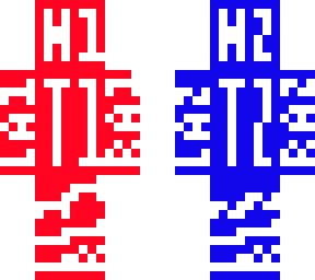 skin template