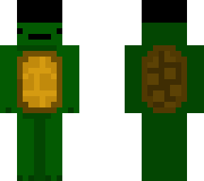 beanie turtle