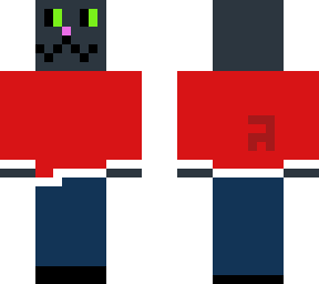 gray-cat with sweater