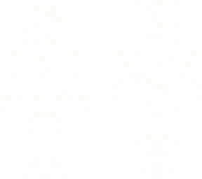 pppp