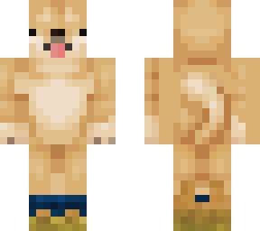 shoes doge test