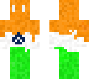 india flag
