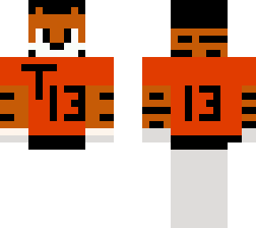 tiger number 13