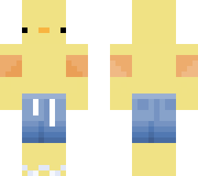 beach duck