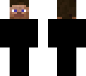 ninja steve