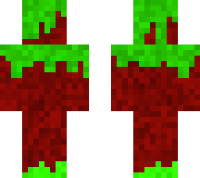 mossy minecraft player