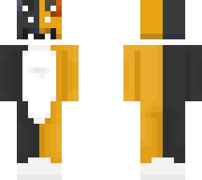 skin for sage
