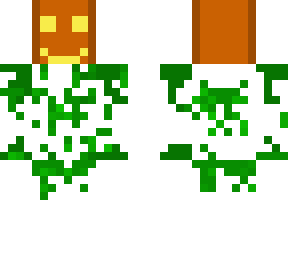 pumpkin on vines