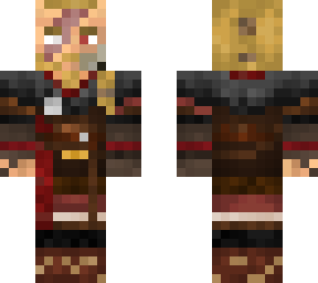 skin assasins creed no canon.