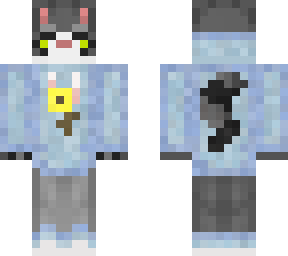 catcoon2