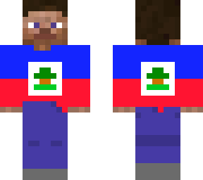 steve haiti flag