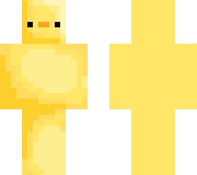 realistic duck