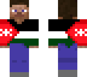 steve jordan flag