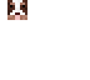 bernedoodle mask