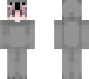 cute koala boy