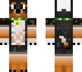 valor doggy