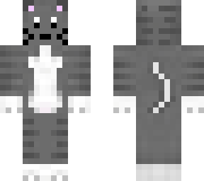 kitty cat