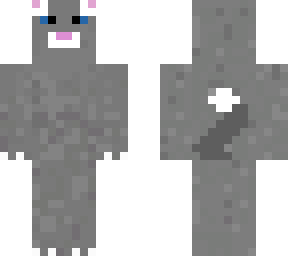 grey cat