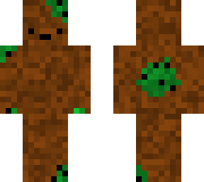kiwi remodelado