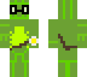 spider-nature