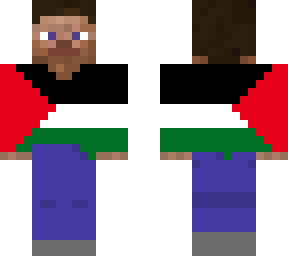 steve palestine flag