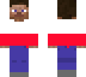 steve poland flag