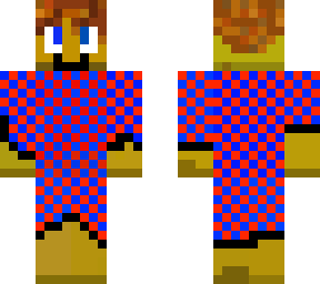 skin, if you are new on minecraft