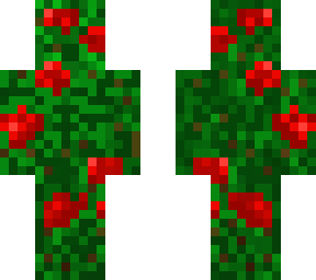 green&rose guy