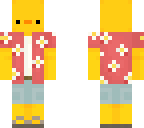 beach duck