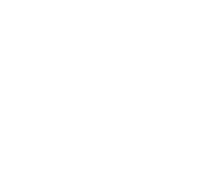 mr. mystery