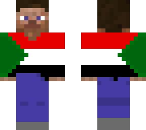 steve sudan flag