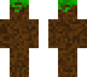 dirt block with grass on top