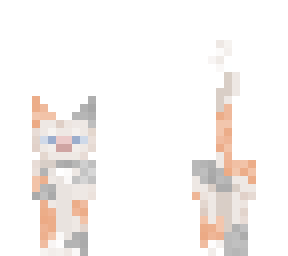 ??calico cat